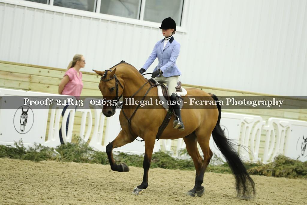 Proof Number 24R13_02635