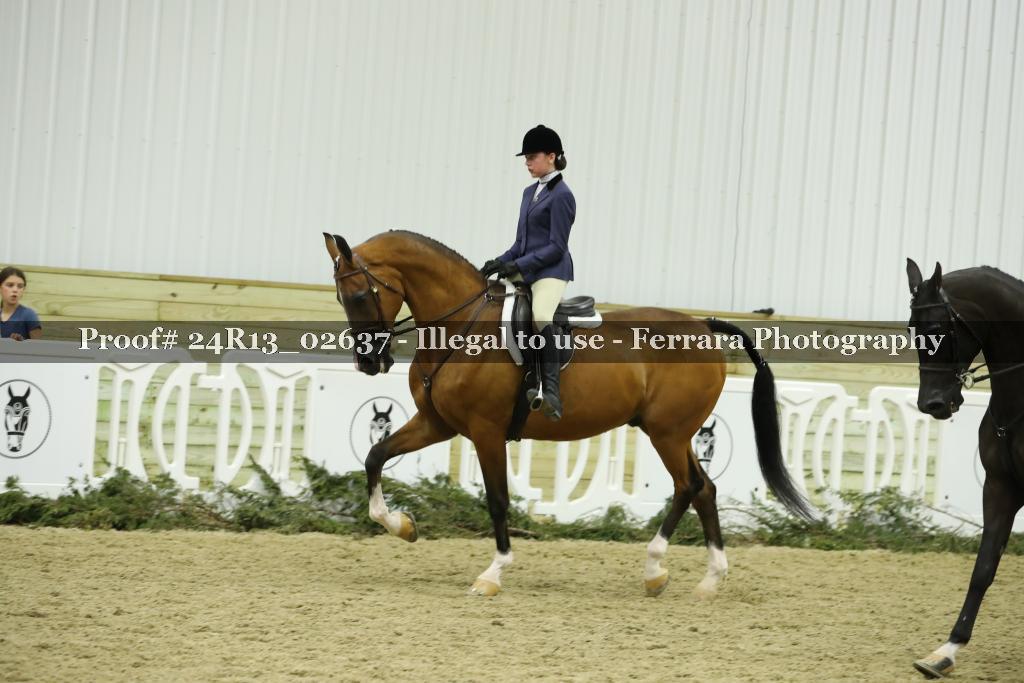 Proof Number 24R13_02637