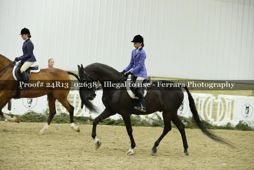Proof Number 24R13_02638