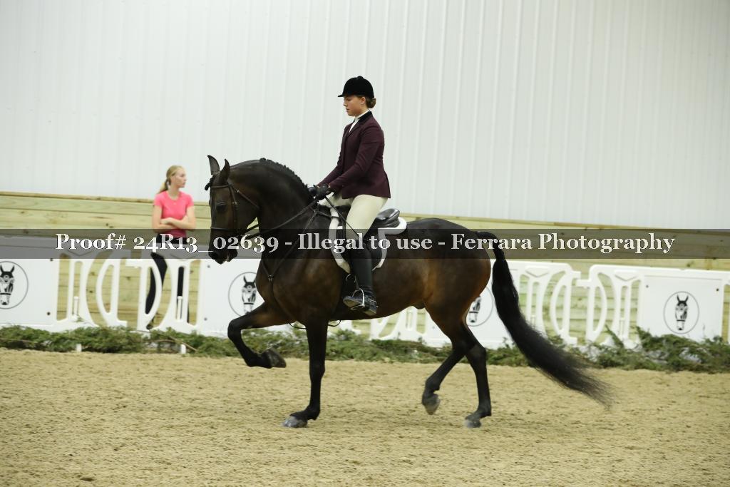 Proof Number 24R13_02639