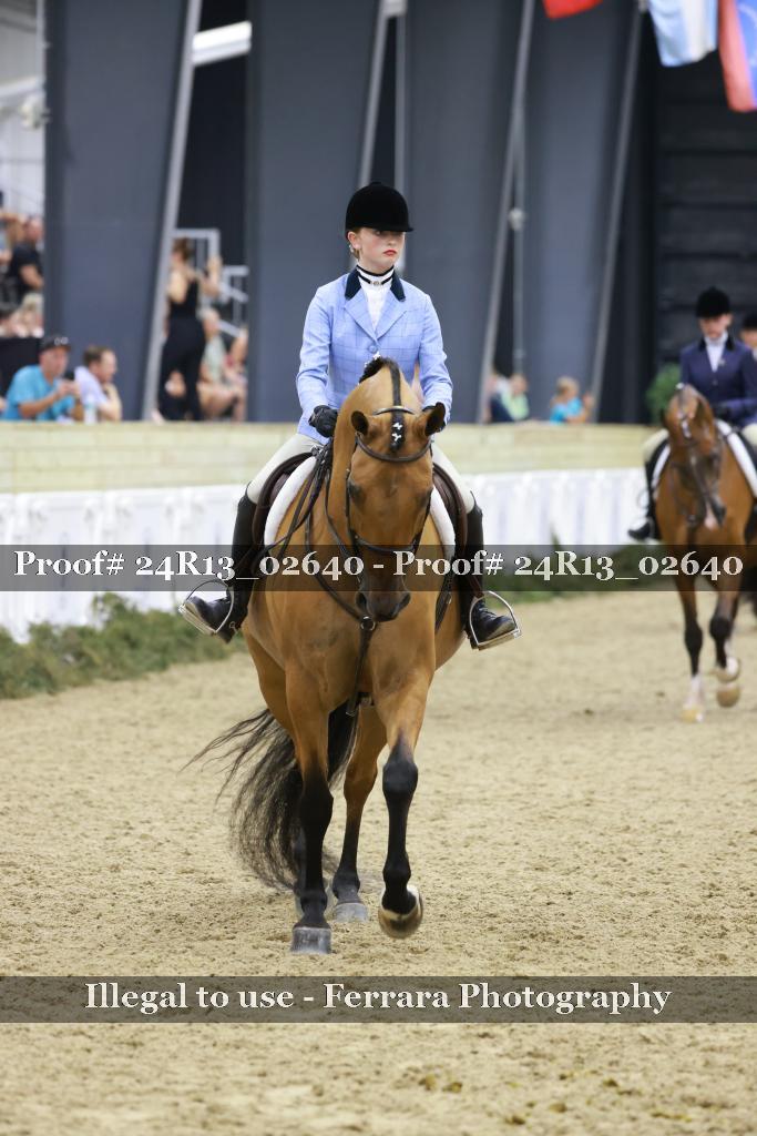 Proof Number 24R13_02640