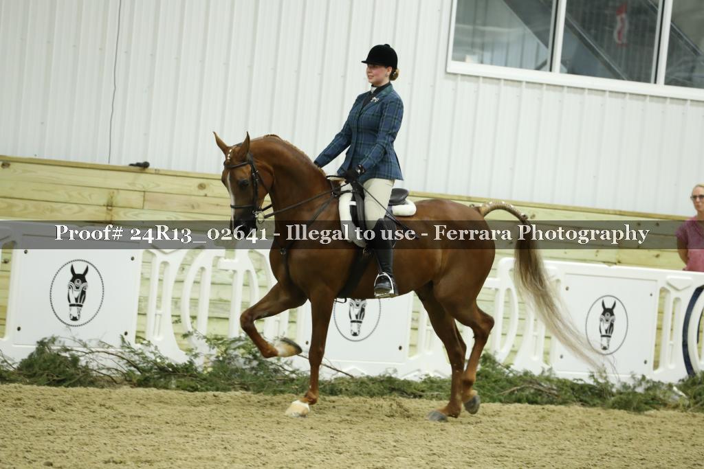 Proof Number 24R13_02641
