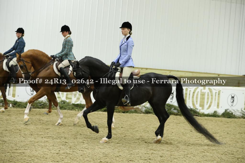 Proof Number 24R13_02642