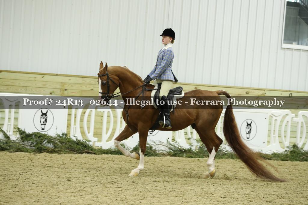 Proof Number 24R13_02644