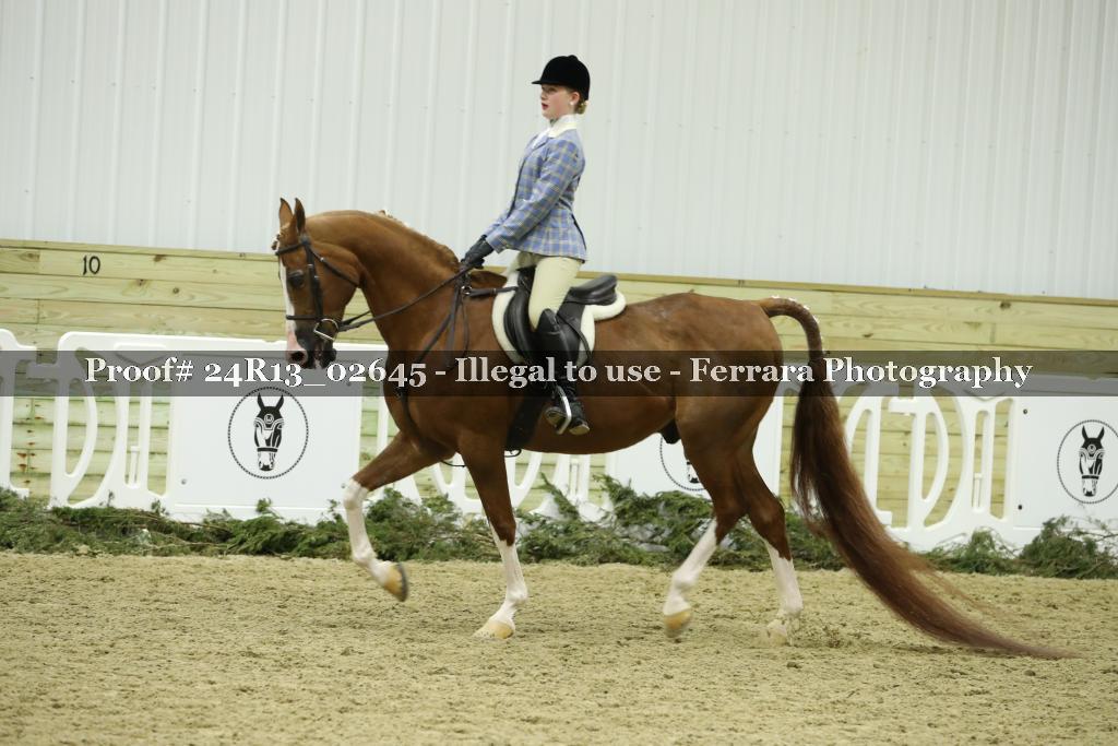 Proof Number 24R13_02645