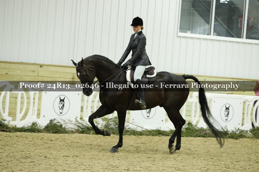 Proof Number 24R13_02646