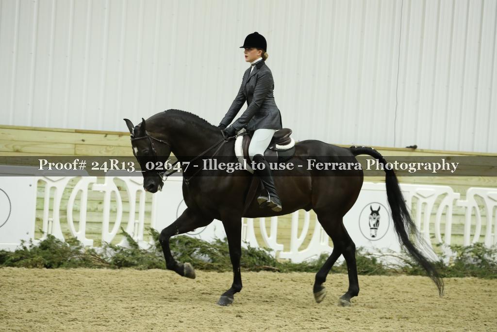 Proof Number 24R13_02647