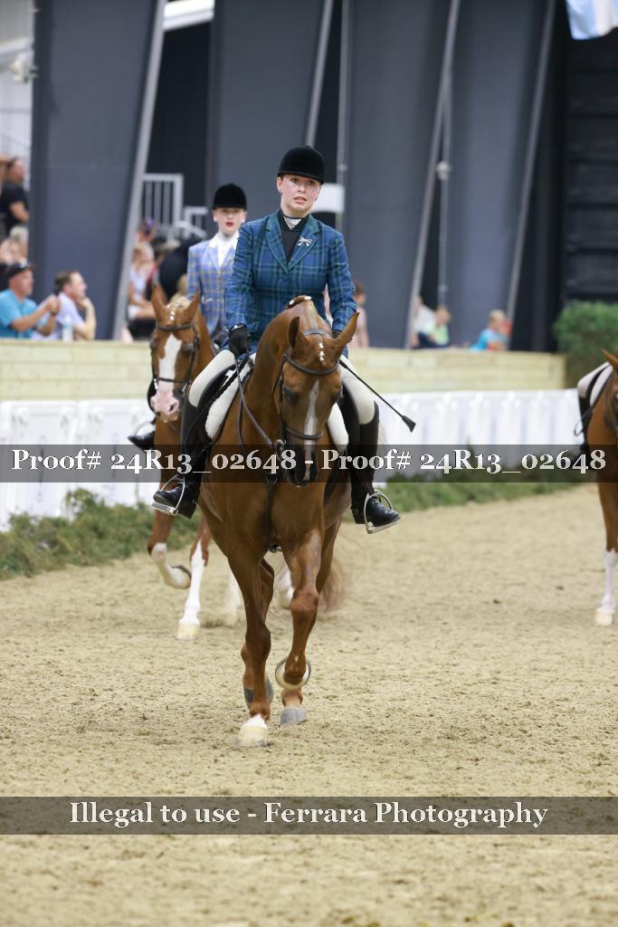 Proof Number 24R13_02648