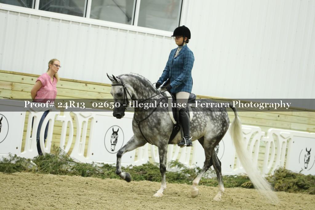 Proof Number 24R13_02650