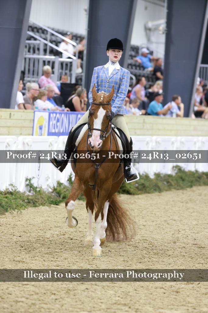 Proof Number 24R13_02651