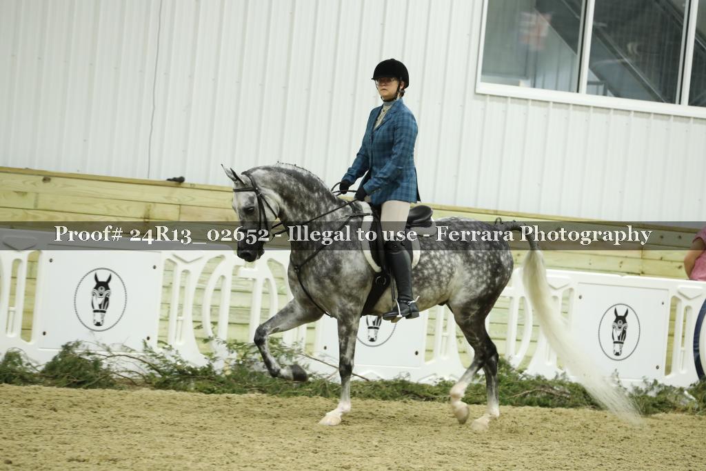 Proof Number 24R13_02652