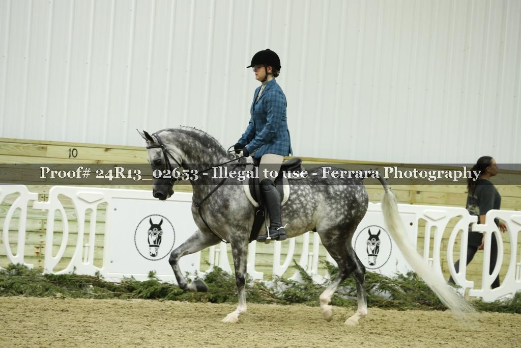 Proof Number 24R13_02653