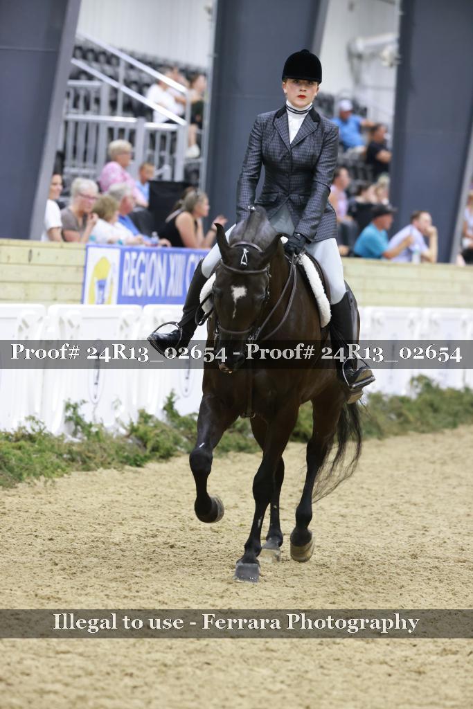Proof Number 24R13_02654