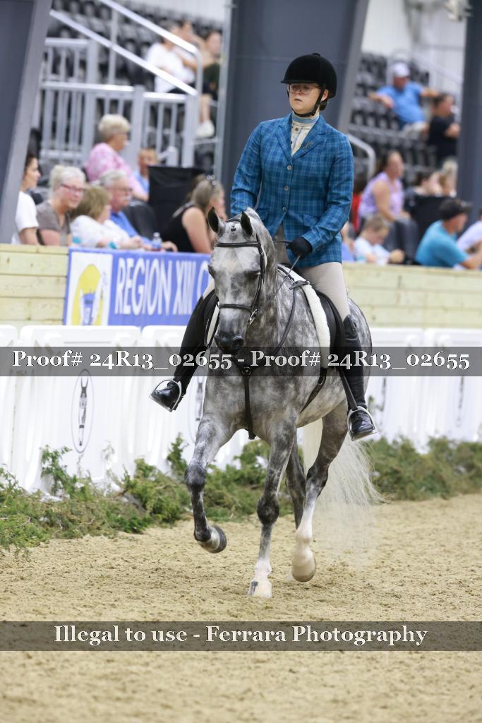 Proof Number 24R13_02655