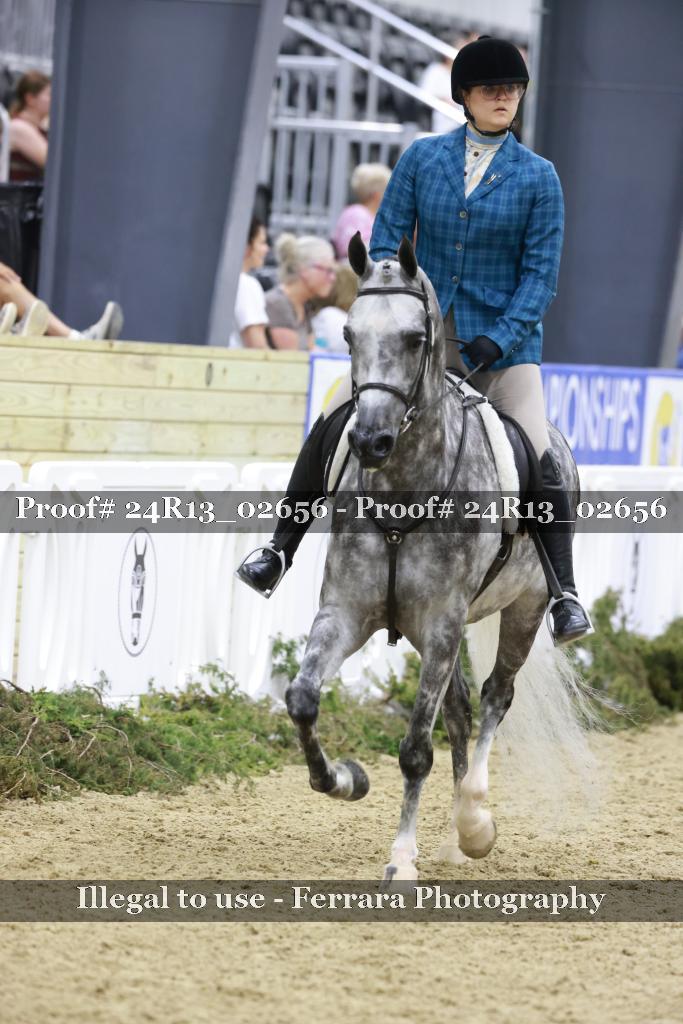 Proof Number 24R13_02656