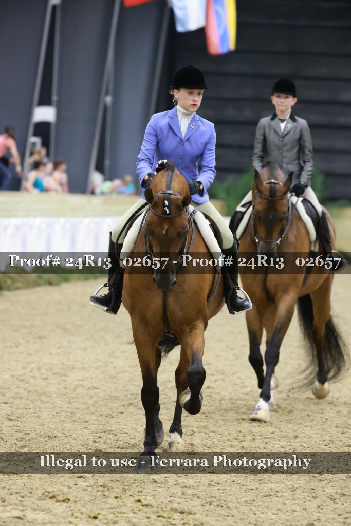 Proof Number 24R13_02657