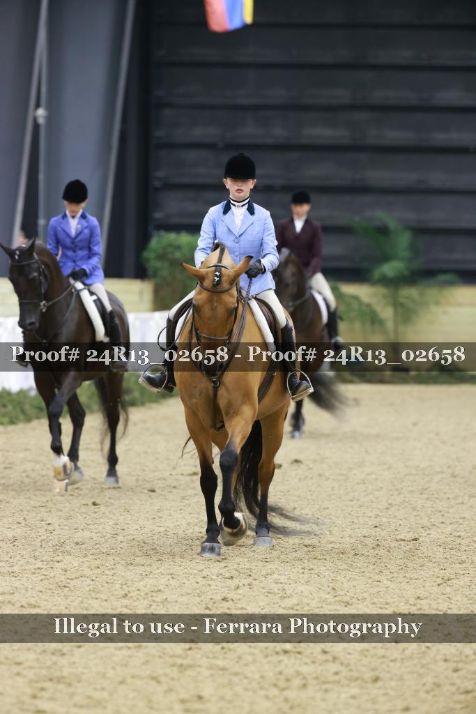 Proof Number 24R13_02658
