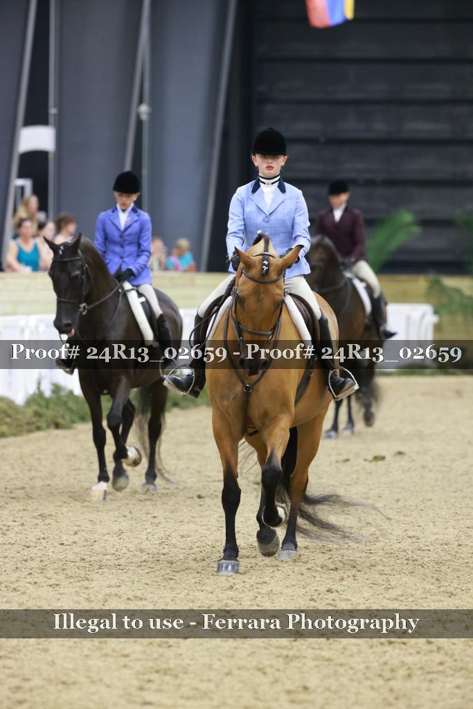 Proof Number 24R13_02659