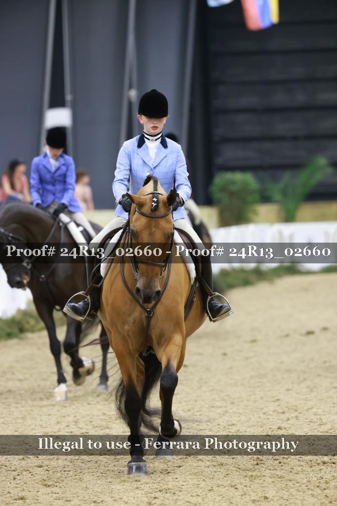 Proof Number 24R13_02660