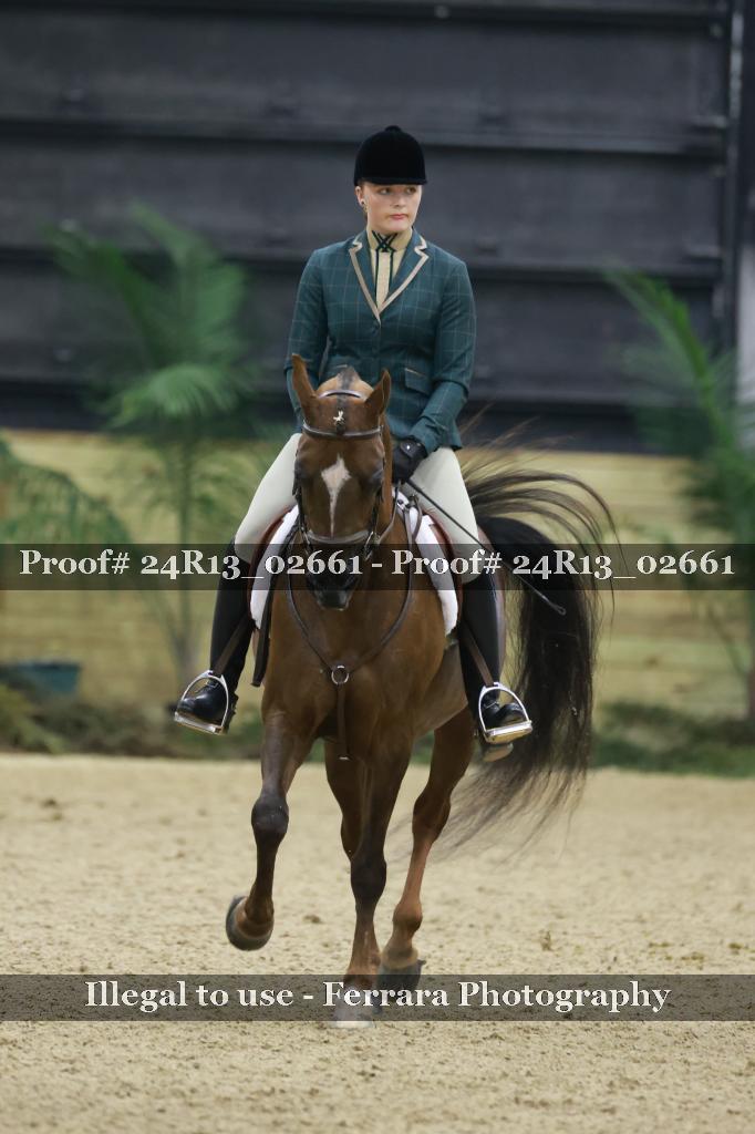 Proof Number 24R13_02661