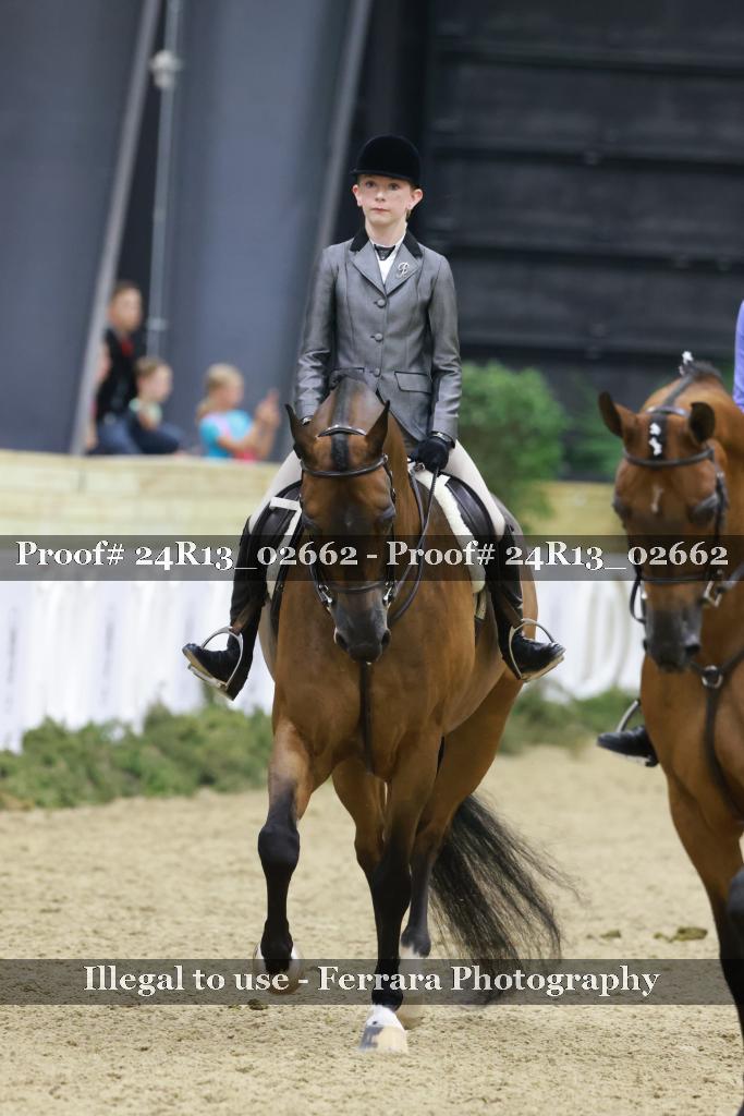 Proof Number 24R13_02662