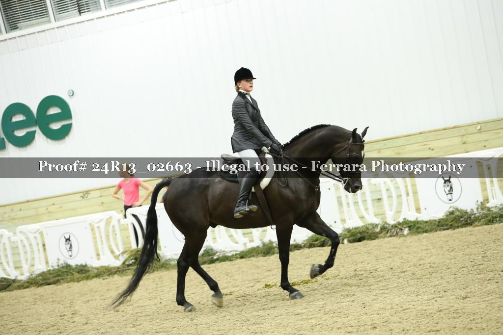 Proof Number 24R13_02663