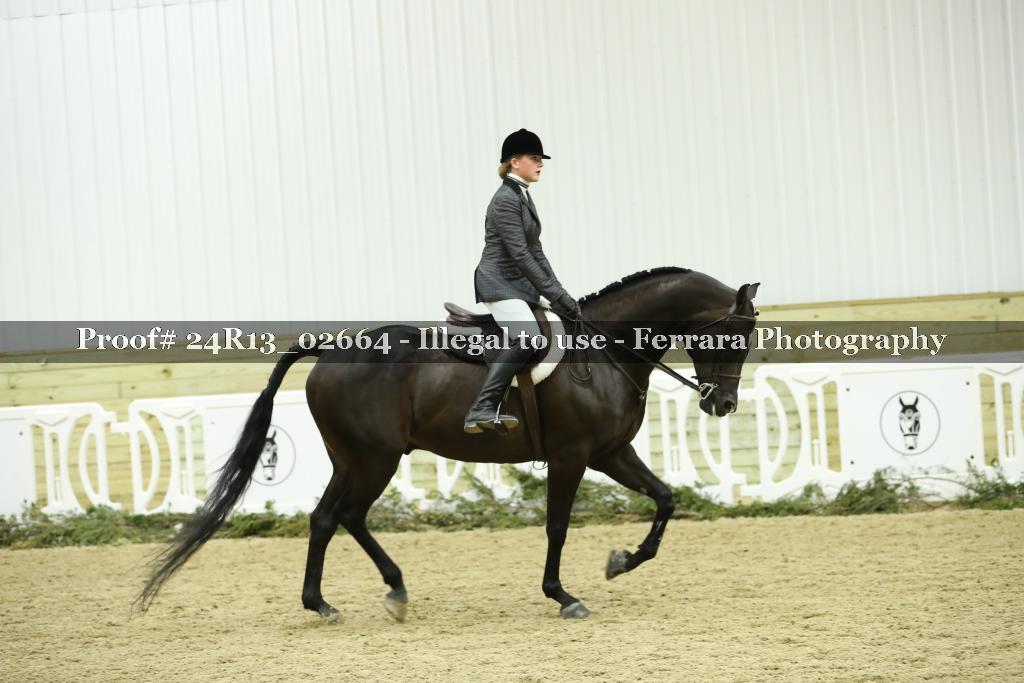Proof Number 24R13_02664