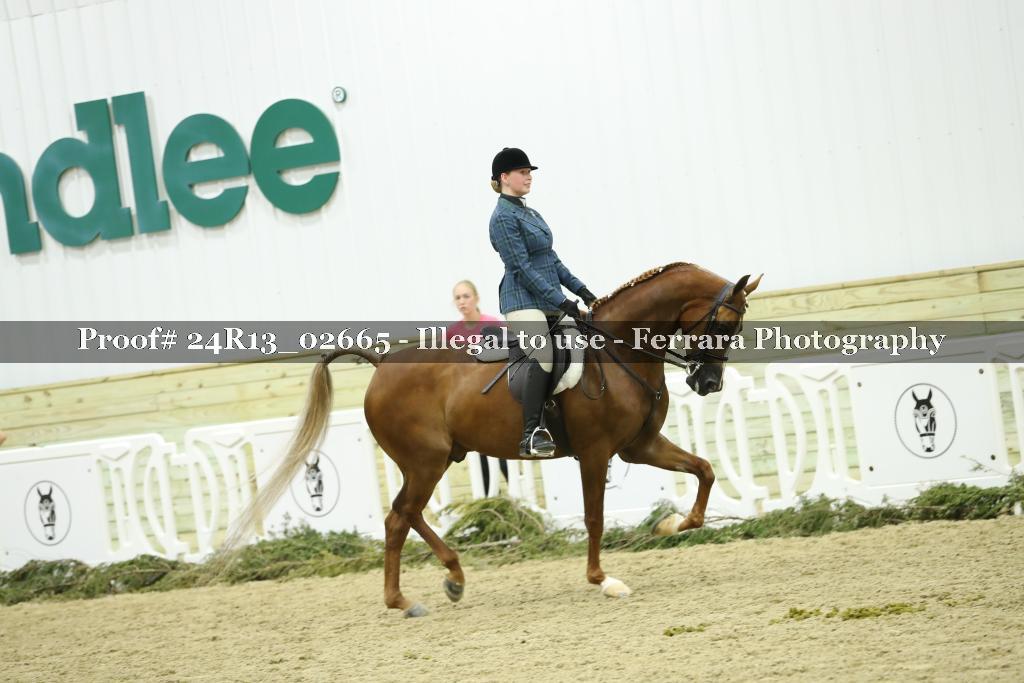Proof Number 24R13_02665