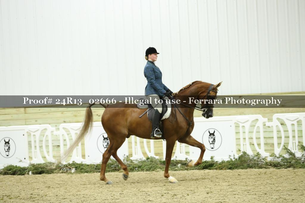 Proof Number 24R13_02666