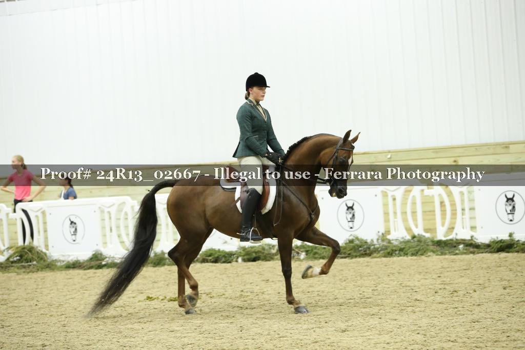 Proof Number 24R13_02667