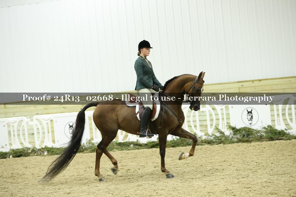 Proof Number 24R13_02668