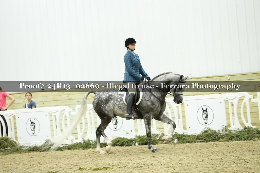 Proof Number 24R13_02669