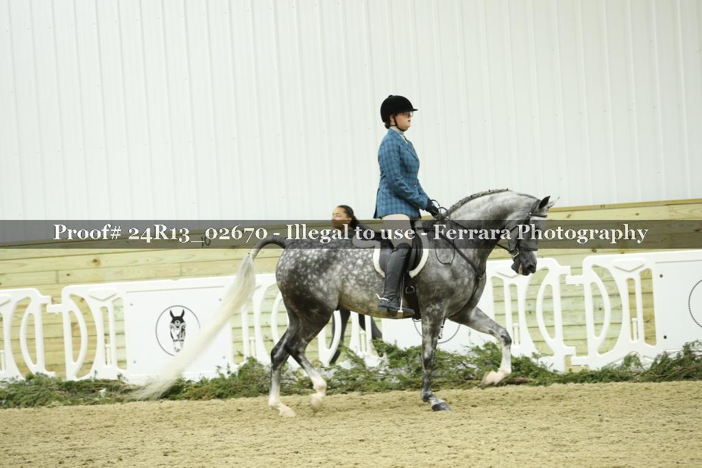 Proof Number 24R13_02670