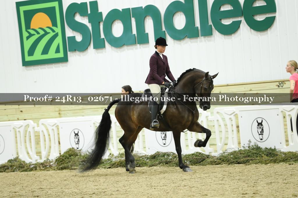 Proof Number 24R13_02671