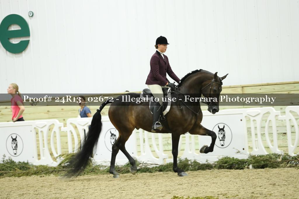 Proof Number 24R13_02672