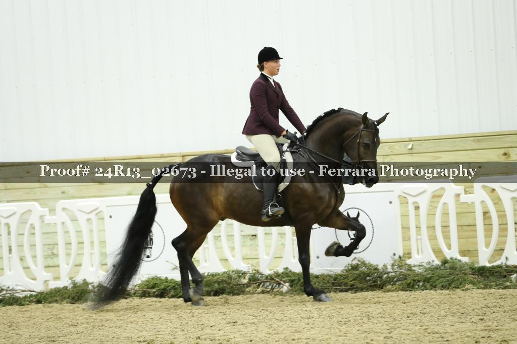 Proof Number 24R13_02673