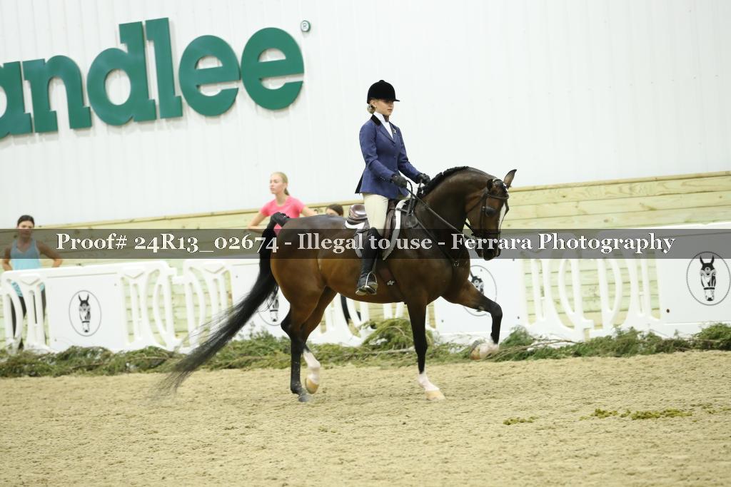Proof Number 24R13_02674