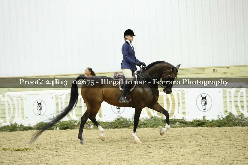 Proof Number 24R13_02675
