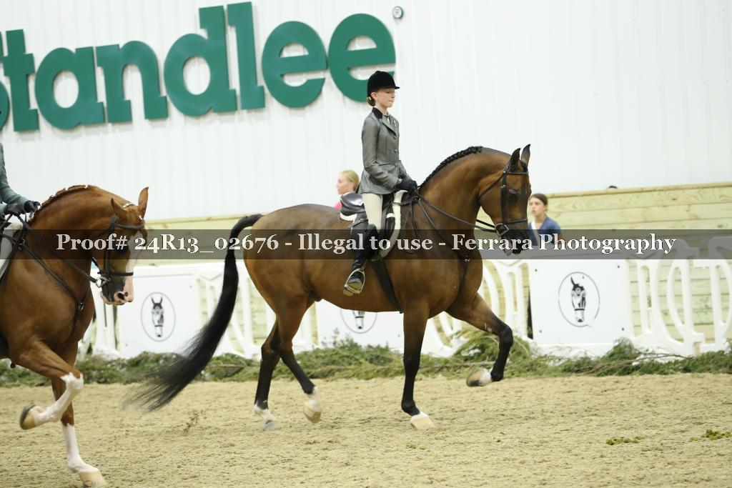 Proof Number 24R13_02676