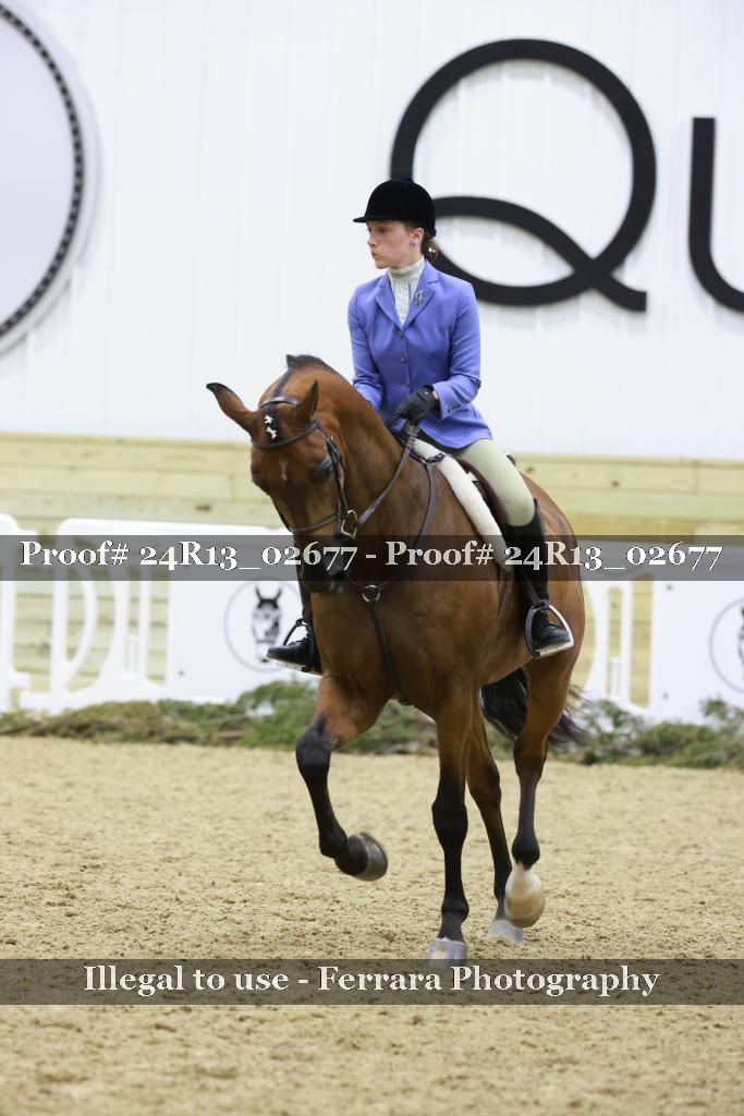 Proof Number 24R13_02677