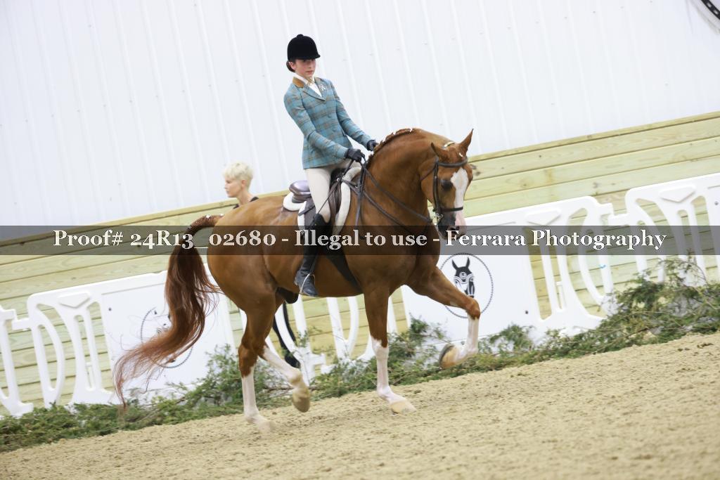Proof Number 24R13_02680