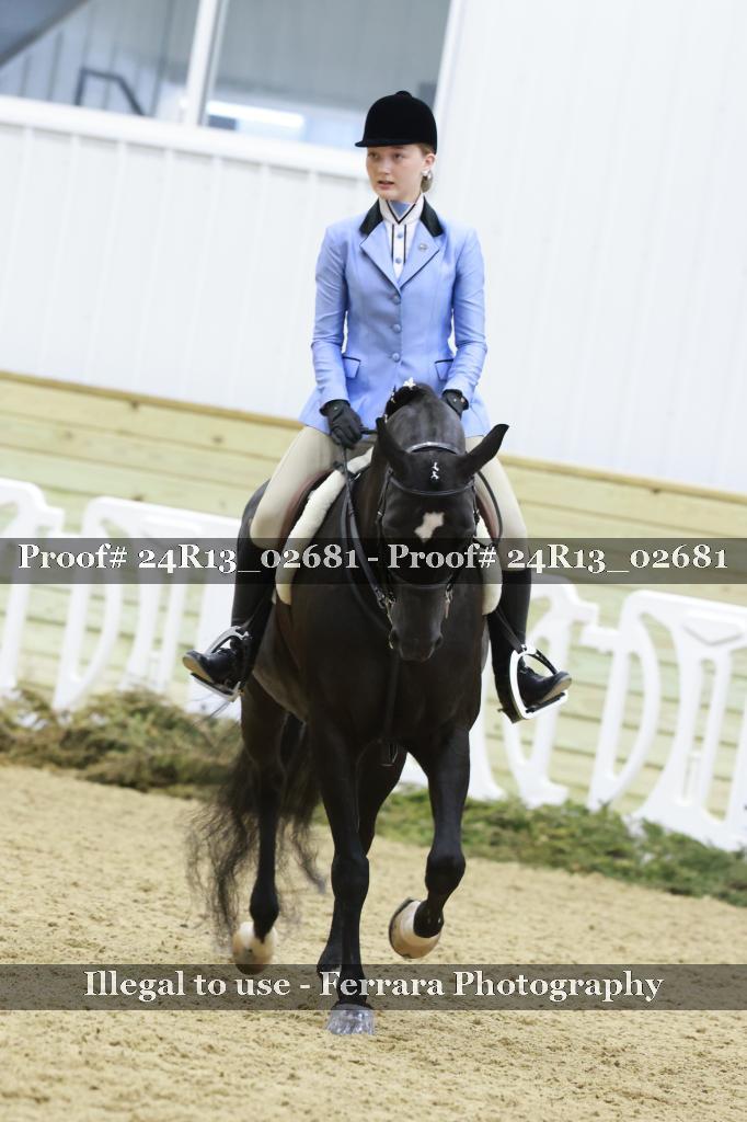 Proof Number 24R13_02681