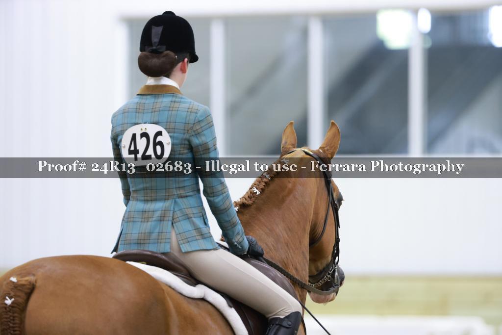 Proof Number 24R13_02683