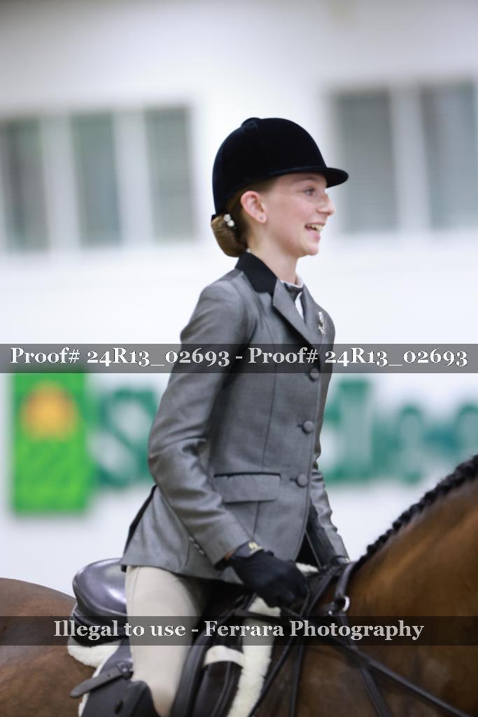 Proof Number 24R13_02693