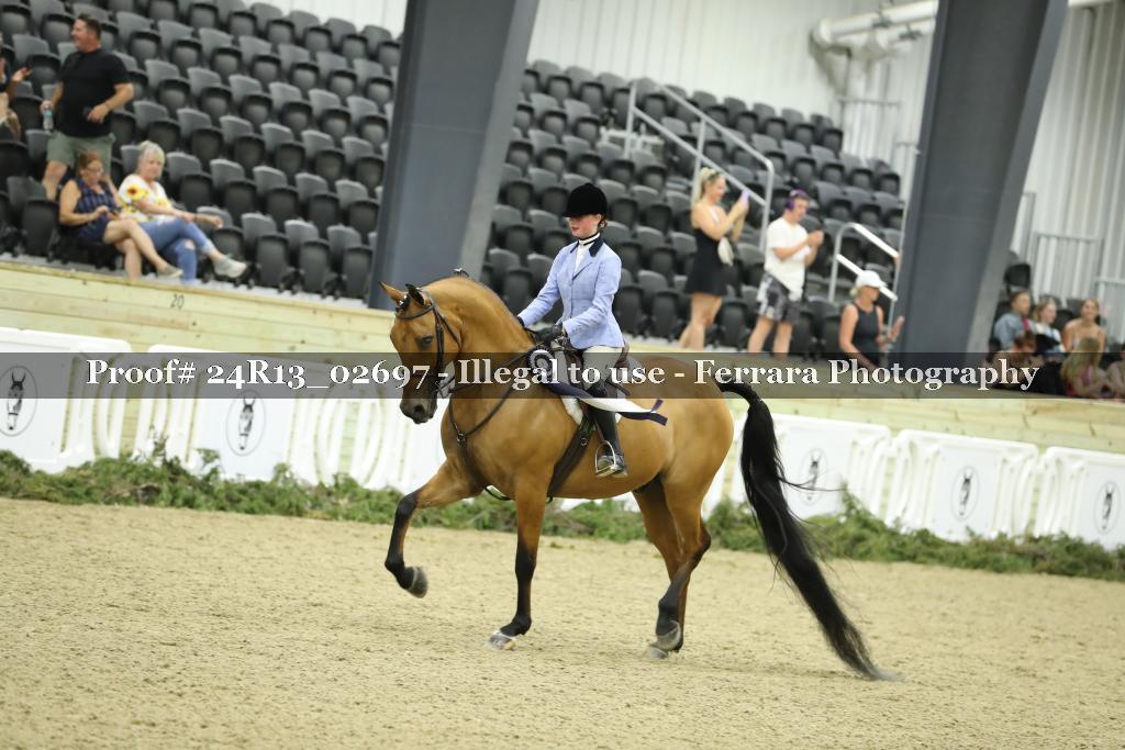 Proof Number 24R13_02697