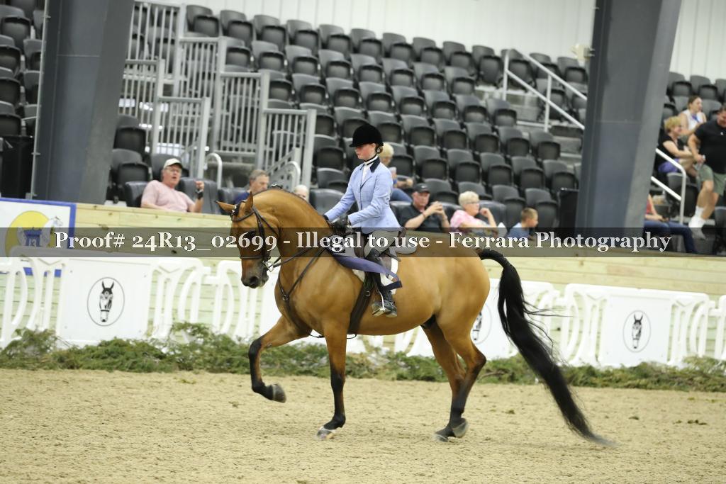 Proof Number 24R13_02699