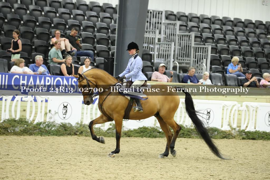 Proof Number 24R13_02700