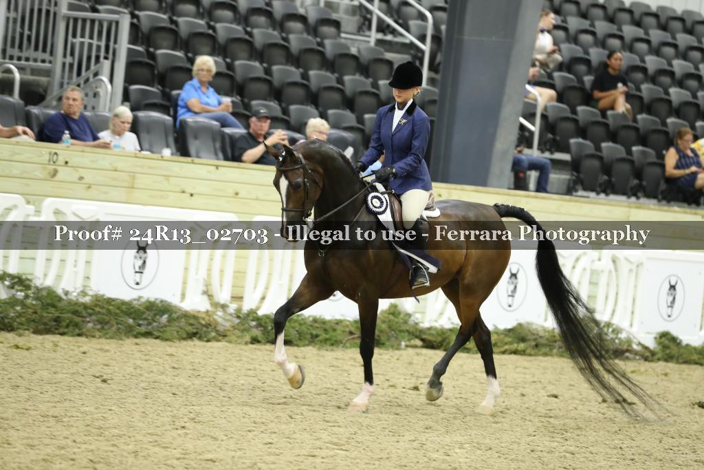 Proof Number 24R13_02703