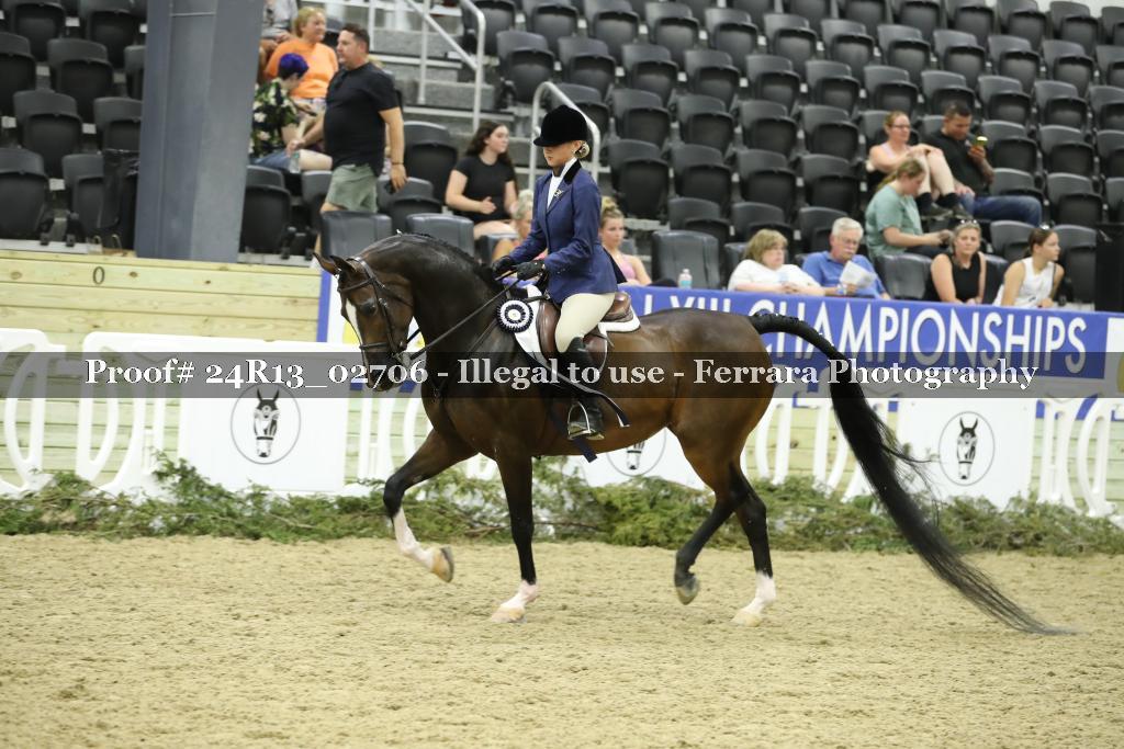 Proof Number 24R13_02706