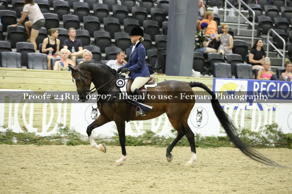 Proof Number 24R13_02707
